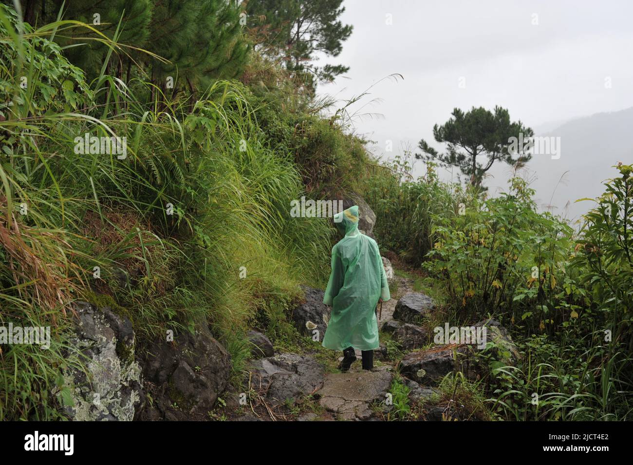 Mountain Province, Philippinen: Lokaler Guide mit grünem Regenmantel führt Touristen auf den Weg zu den Bomod-ok Falls. Nebliger Tag in den Bergen von Sagada. Stockfoto