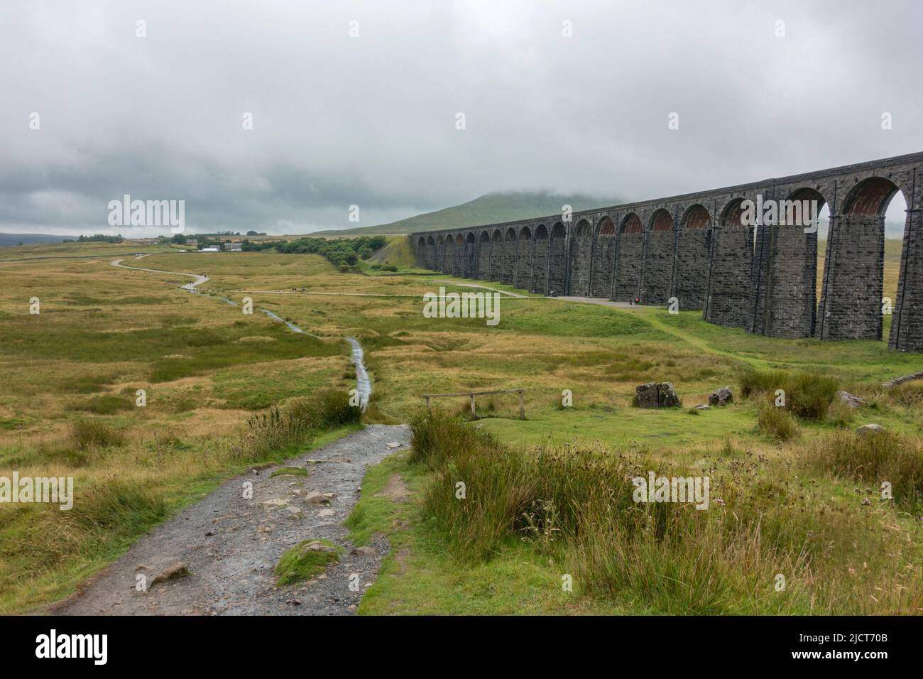 Das Ribblehead Viadukt oder Batty Moss Viadukt im Ribble Valley bei Ribblehead, in North Yorkshire, England. Stockfoto