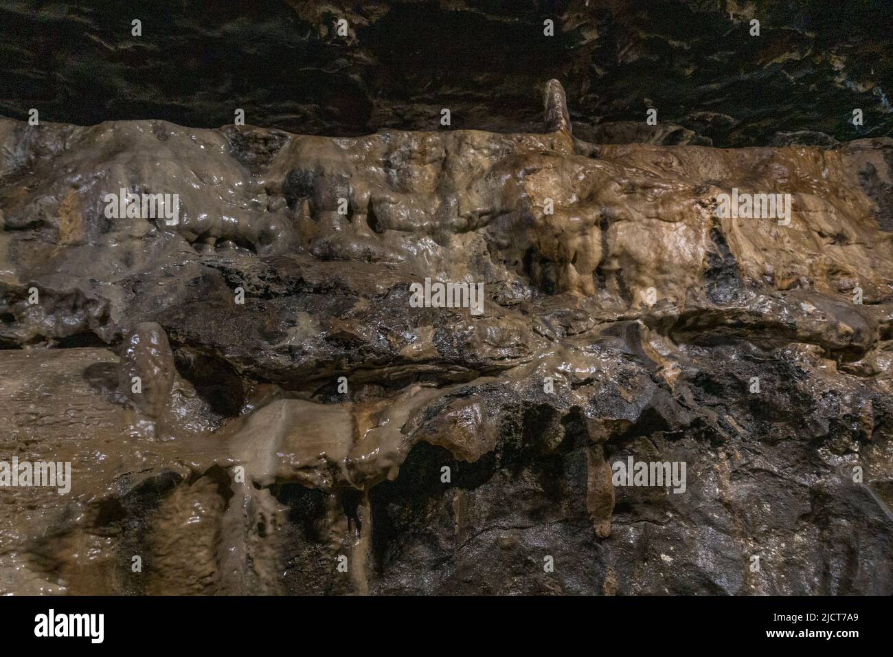 Felsformation in den atemberaubenden White Scar Caves in Ingleton, North Yorkshire, England. Stockfoto