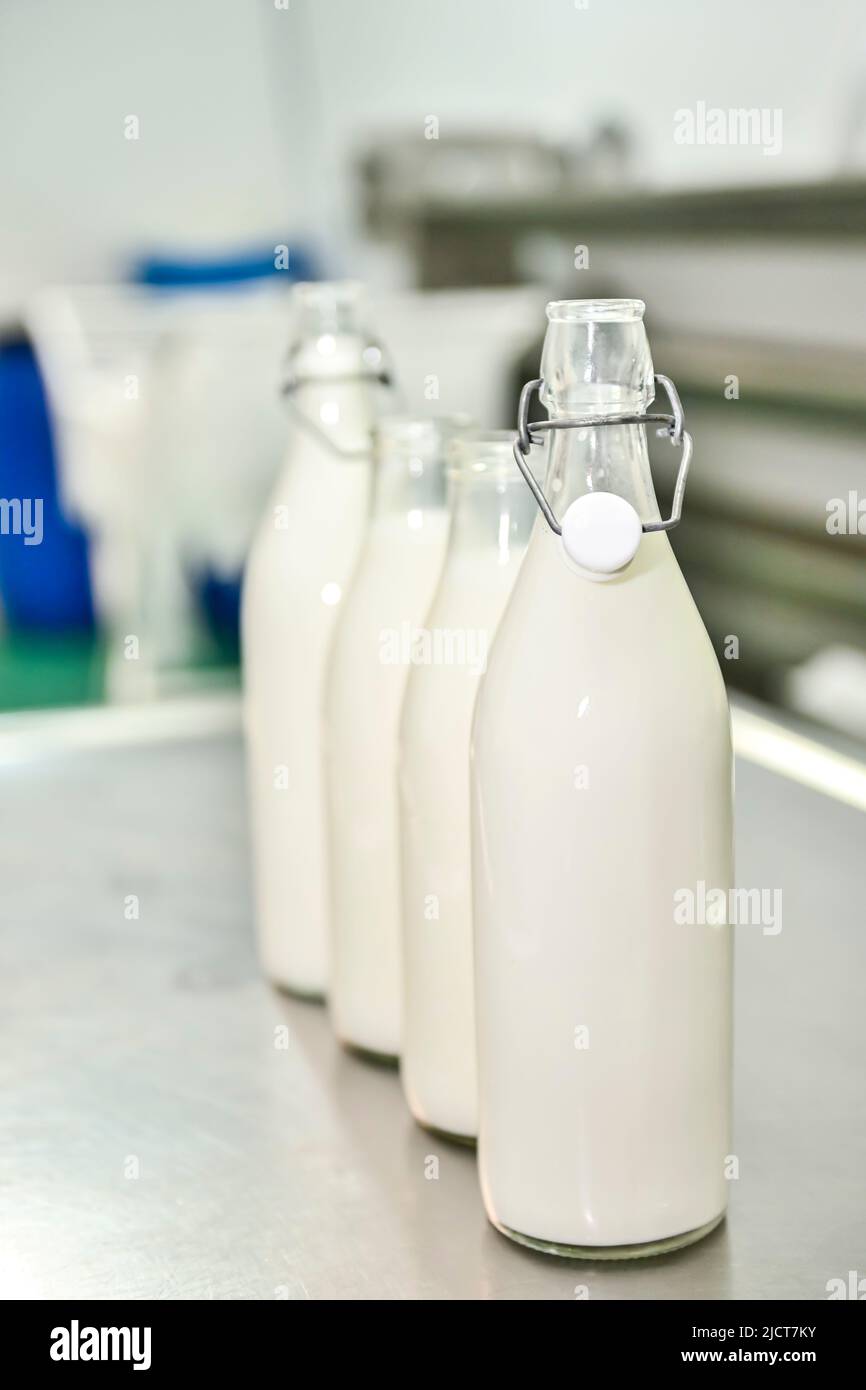 Glasflaschen, gefüllt mit frischer Ziegenmilch Stockfoto