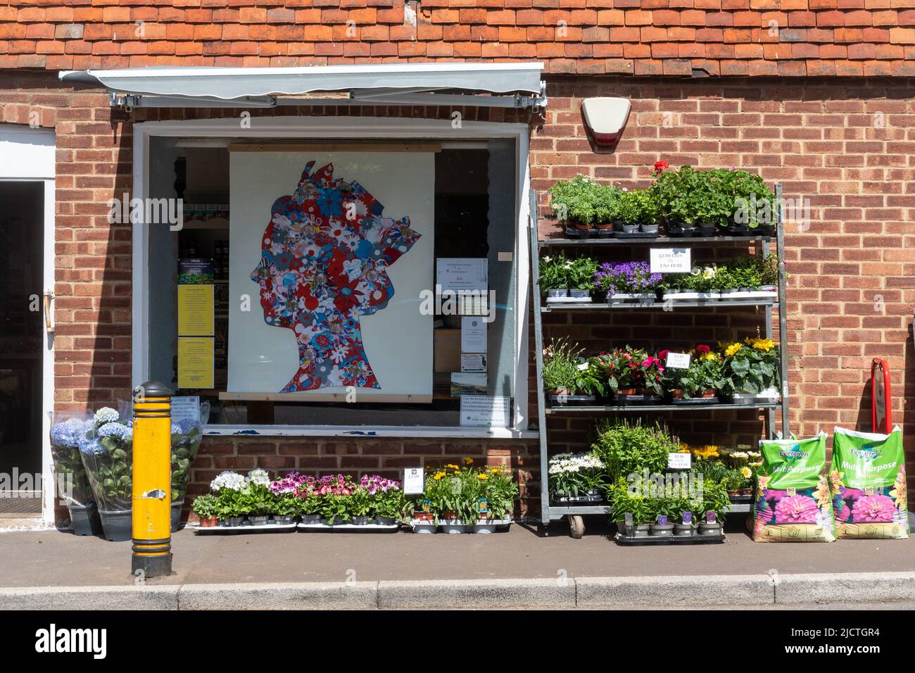 Rogate Village Shop in West Sussex, England, UK, mit Pflanzen zum Verkauf und einer Collage des Kopfes der Königin für das Platin-Jubiläum Stockfoto