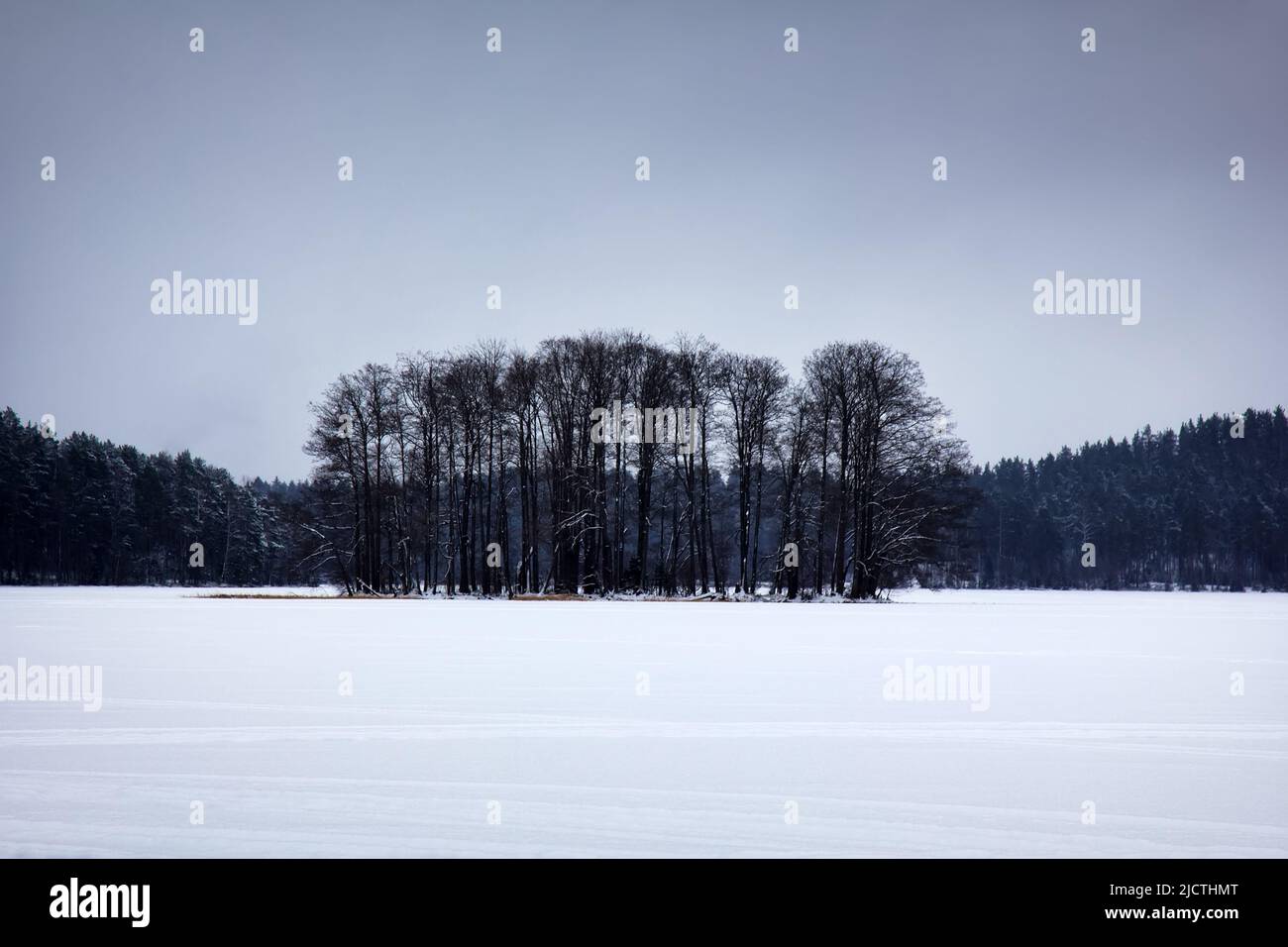 Eine Ecke des Winterwaldes. Eine prominente Insel mit alten Bäumen befindet sich auf einem Waldsee (Insel der Bäume). Schneedecke hebt kräftig hervor Stockfoto