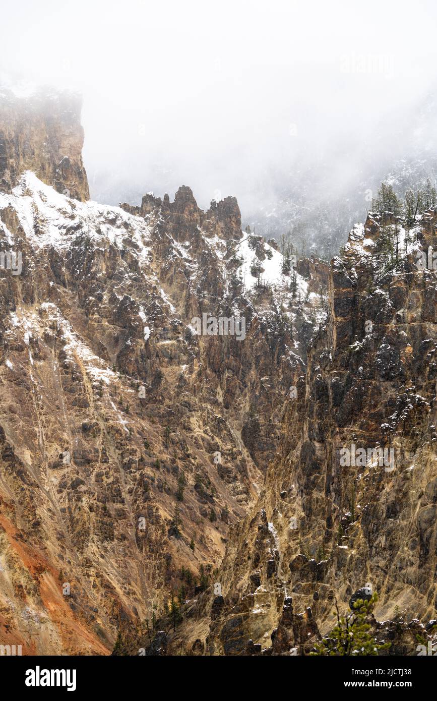 Der Grand Canyon of Yellowstone im Yellowstone-Nationalpark, Wyoming, ist während eines Schneesturms im Frühling aus nächster Nähe zu sehen. Stockfoto