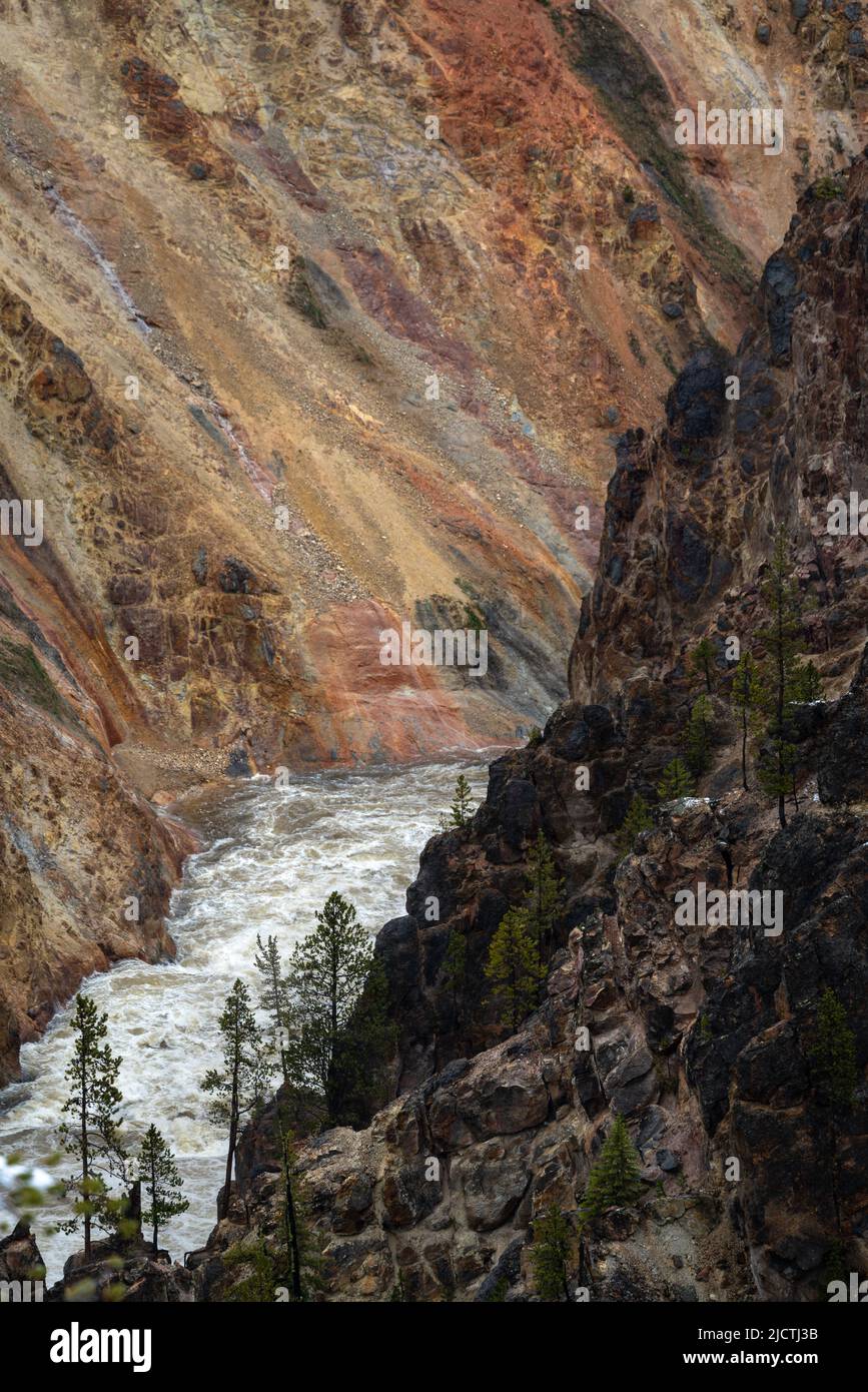 Der Yellowstone River am Grand Canyon of Yellowstone im Yellowstone National Park, Wyoming, ist während eines Schneesturms im Frühling aus nächster Nähe zu sehen. Stockfoto