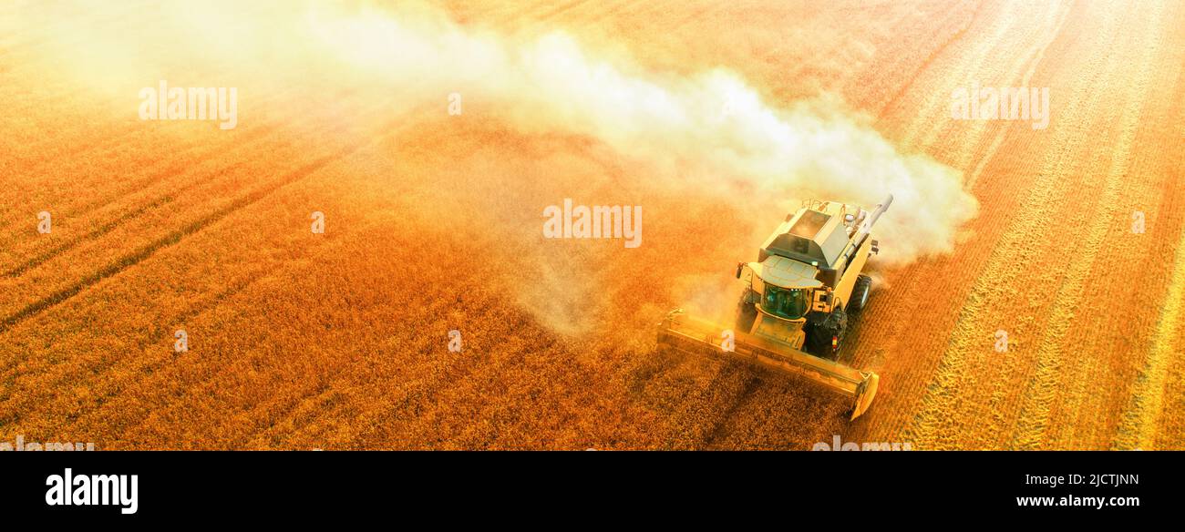 Der Mähdrescher erntet Weizen. Luftaufnahme. Wunderschöne Sommerlandschaft. Landwirtschaftliche Felder. Stockfoto