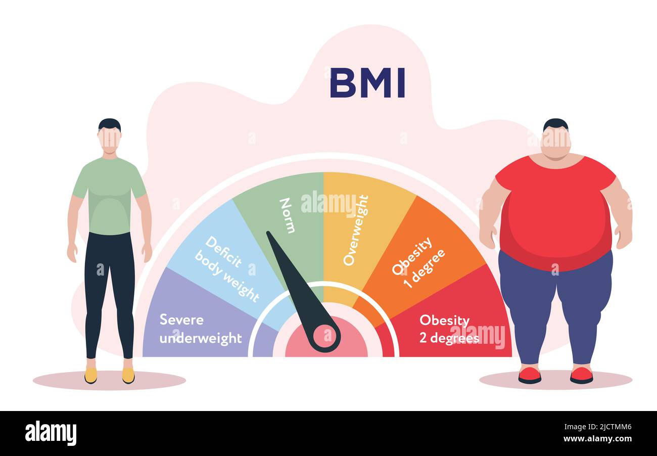 Vektorgrafik. Person mit normalem Gewicht und fettleibiger Mann, der in der Nähe der BMI-Skala steht Stock Vektor