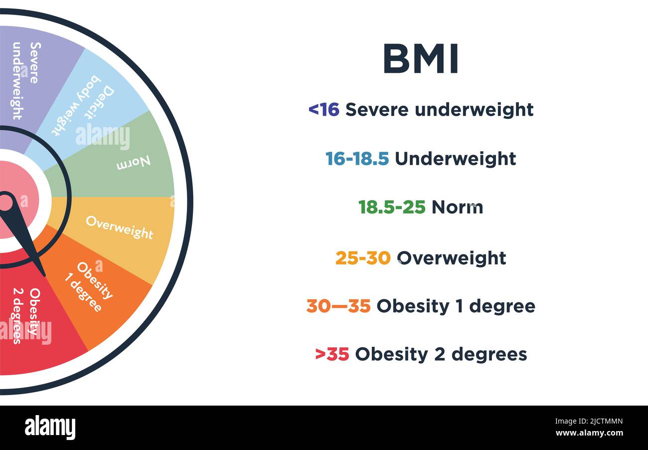 Rundes Schema mit Kontrollskala für den Body Mass Index Stock Vektor