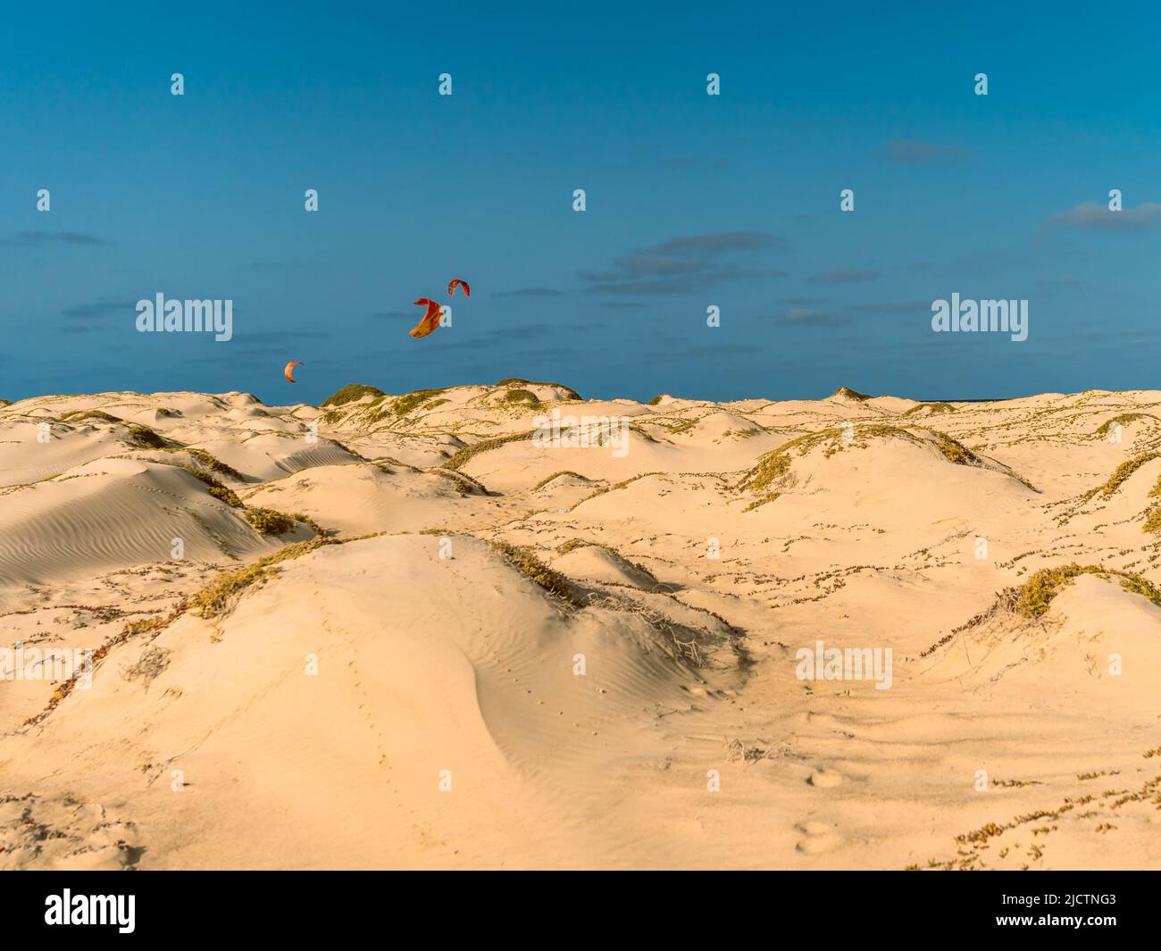 Dünen und Kitesurfer am Horizont gesehen Stockfoto