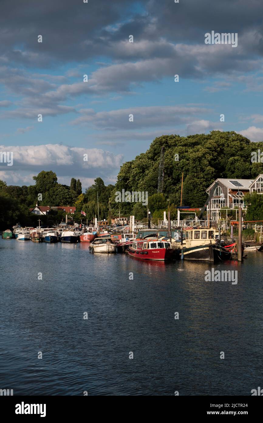 River Thames, Twickenham, London, Großbritannien Stockfoto