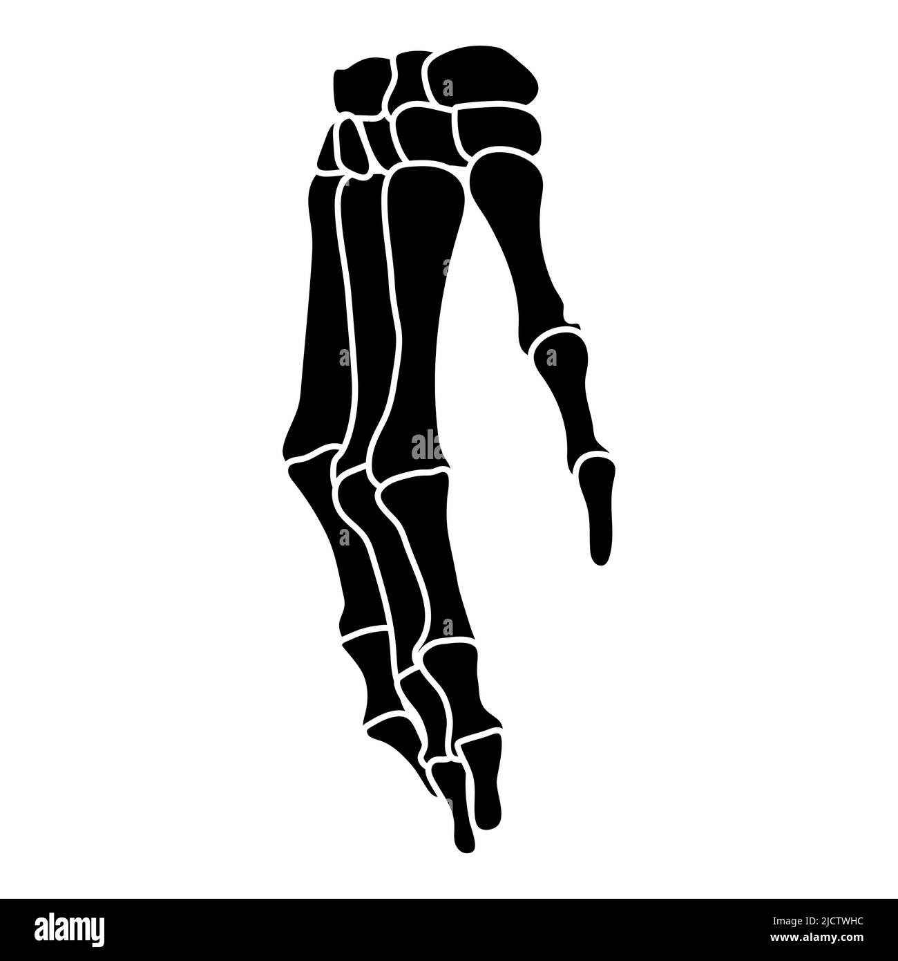 Skelett Hände menschliche Silhouette Körperknochen - Karpale, Handgelenk, Metacarpale, Pals, Vorderseite Vorderansicht flache schwarze Farbe Konzept Vektor Illustration der Anatomie auf weißem Hintergrund isoliert Stock Vektor