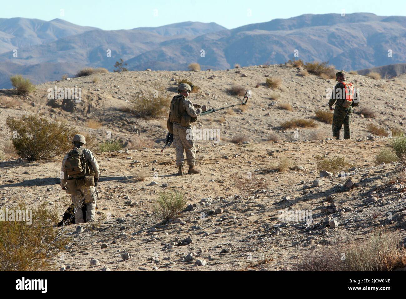 US-Marineinfanteristen mit 1. Bataillons, 8. Marine Regiment (1/8), 2D Marine Division, führen an Bord von Mar eine improvisierte, explosive Trainingsspur durch Stockfoto