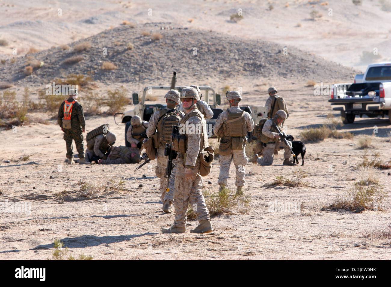 US-Marineinfanteristen mit 1. Bataillons, 8. Marine Regiment (1/8), 2D Marine Division, kehren nach sekundären improvisierten Sprengstoffen, während sie sich einem s nähern Stockfoto