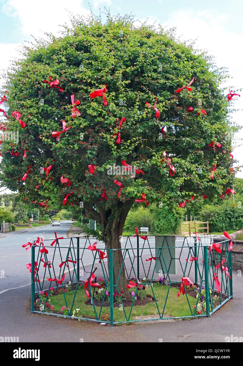 Church of St Cross, und gekleideter Thorn-Baum für das Bawming der Thorn-Zeremonie, Appleton Thorn, Warrington, Cheshire, England, GROSSBRITANNIEN, WA4 4QU Stockfoto