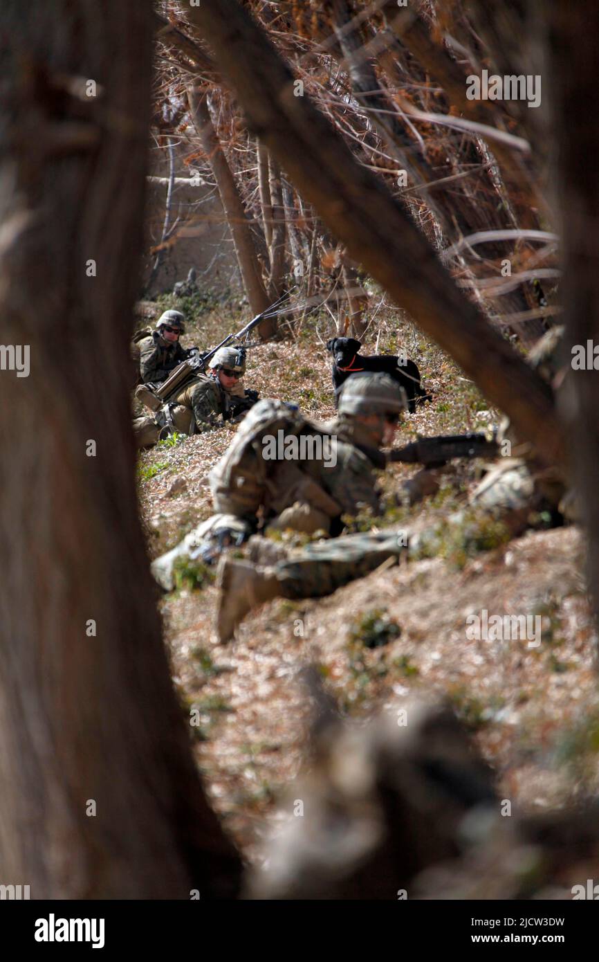 US-Marineinfanteristen mit Bravo Company, 1. Bataillon, 8. Marine Regiment (1/8), Regimental Combat Team 6, sorgen während einer Sicherheitssatrouille für Sicherheit Stockfoto
