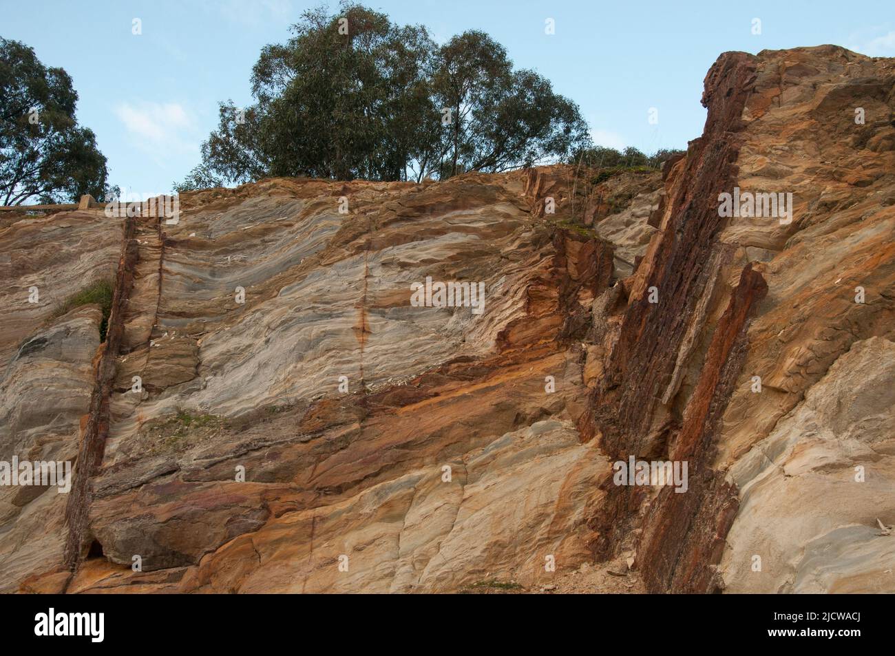 Country Rock bei William Raes Mine Bon Accord in Victoria Hill, einem der reichsten Gebiete auf dem 1850s Bendigo Goldfield, Victoria, Australien Stockfoto