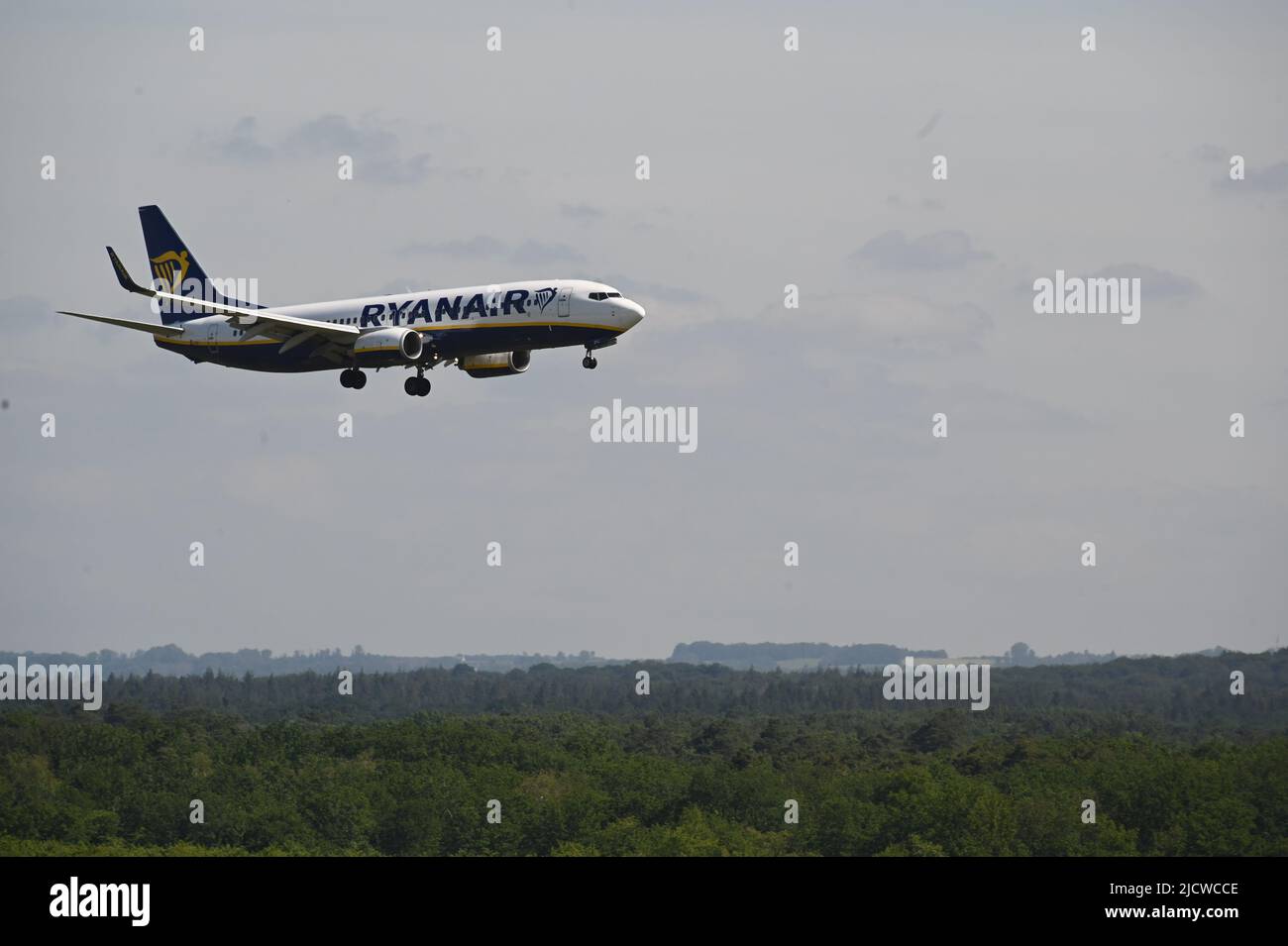 Köln, Deutschland. 14.. Juni 2022. Ein Flugzeug Boeing 737 Airline Ryanair bei der Landung auf dem Flughafen Köln Bonn über der Wahner Heide Credit: Horst Galuschka/dpa/Horst Galuschka dpa/Alamy Live News Stockfoto