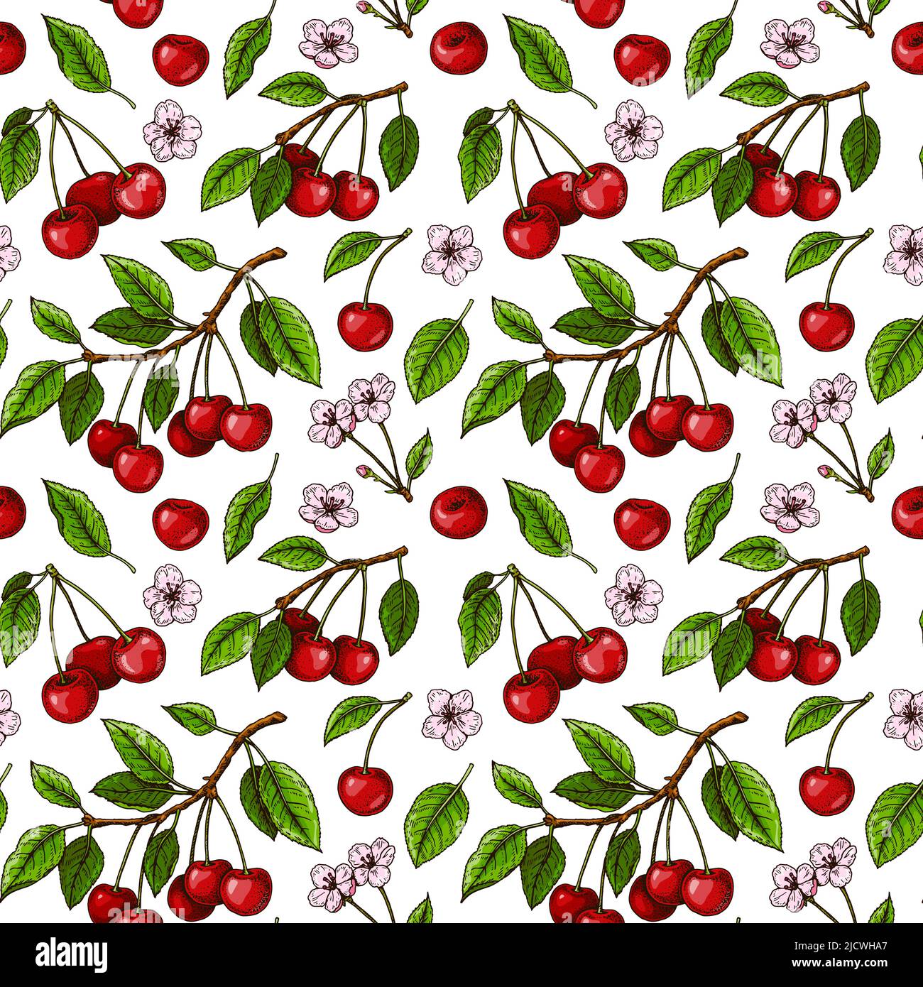 Handgezeichnetes buntes nahtloses Muster mit Kirschbeeren und Blumen. Vektorgrafik im farbigen Skizzenstil Stock Vektor
