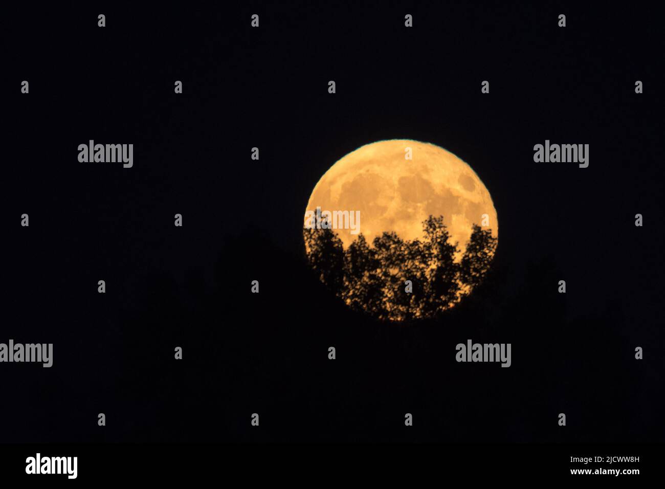 Erdbeermond in Polen. Juni 14. 2022 © Wojciech Strozyk / Alamy Stockfoto Stockfoto