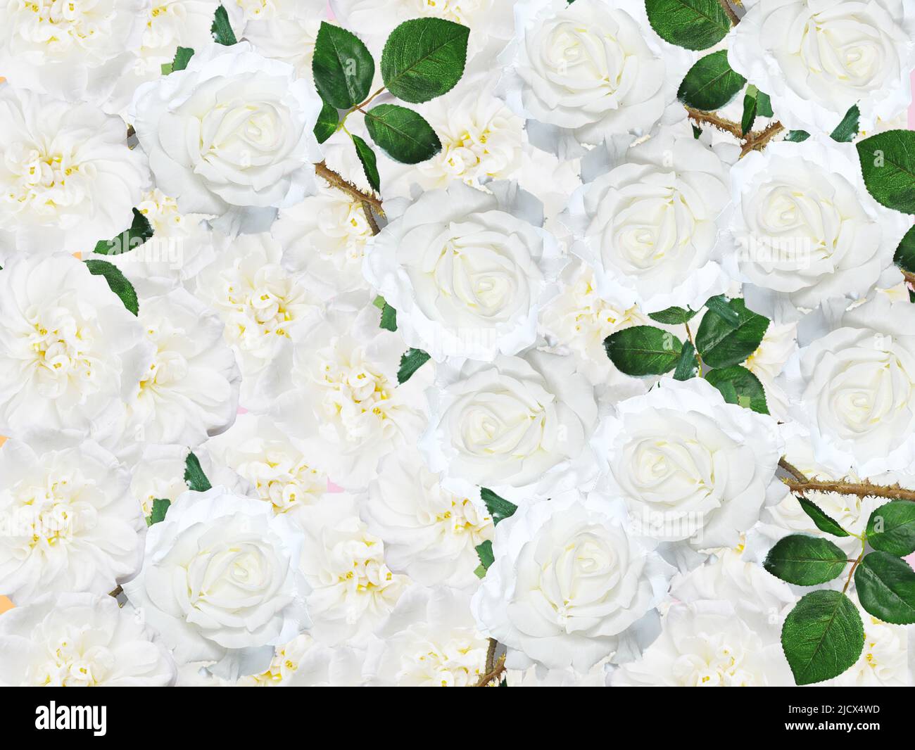 Sommer Blume Hintergrund. Am besten für Hochzeitsdesign. Feminines Muster. Stockfoto
