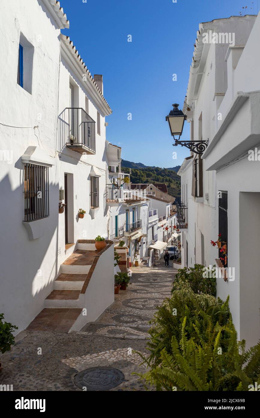 Schmale Straße mit weiß getünchten andalusischen Häusern in der Altstadt, Frigiliana, Provinz Malaga, Andalusien, Spanien, Europa Stockfoto