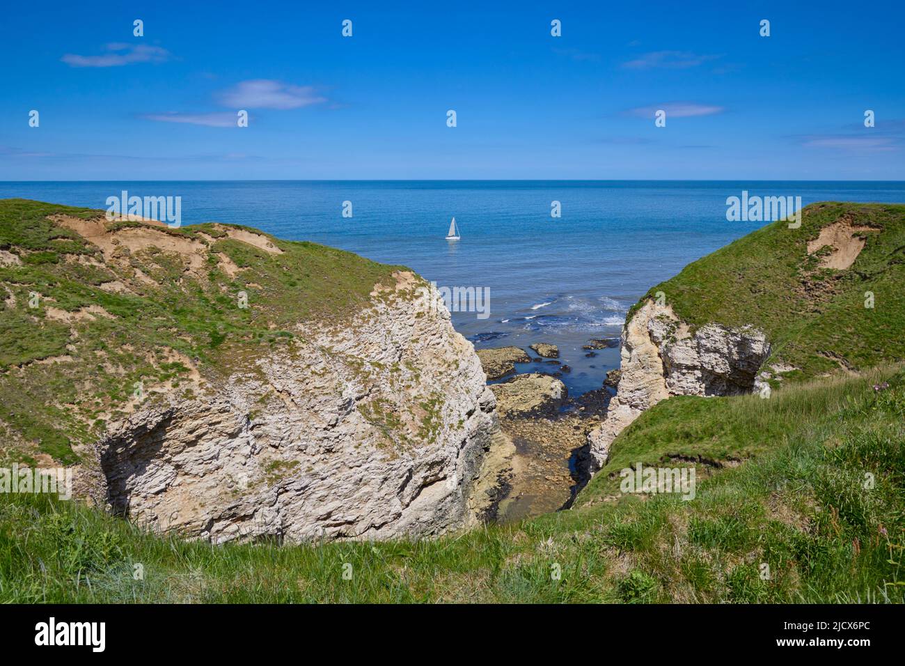 Flamborough Cliffs Nature Reserve, Yorkshire, England, Vereinigtes Königreich, Europa Stockfoto