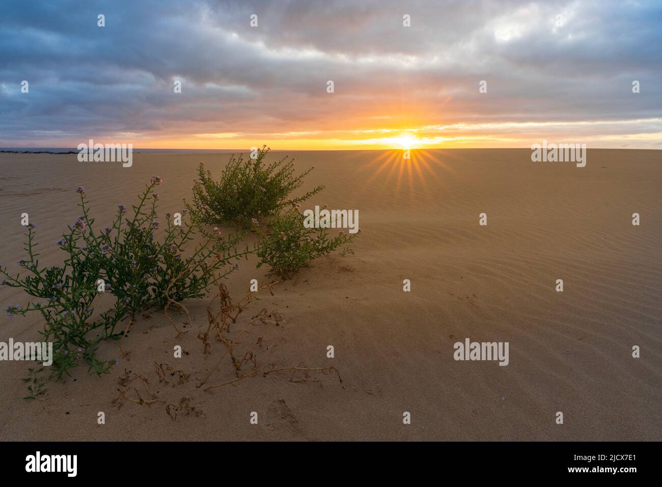 Die Sonne geht über dem gewellten Wüstensand unter einem wolkigen Himmel auf, Corralejo Natural Park, Fuerteventura, Kanarische Inseln, Spanien, Atlantik, Europa Stockfoto
