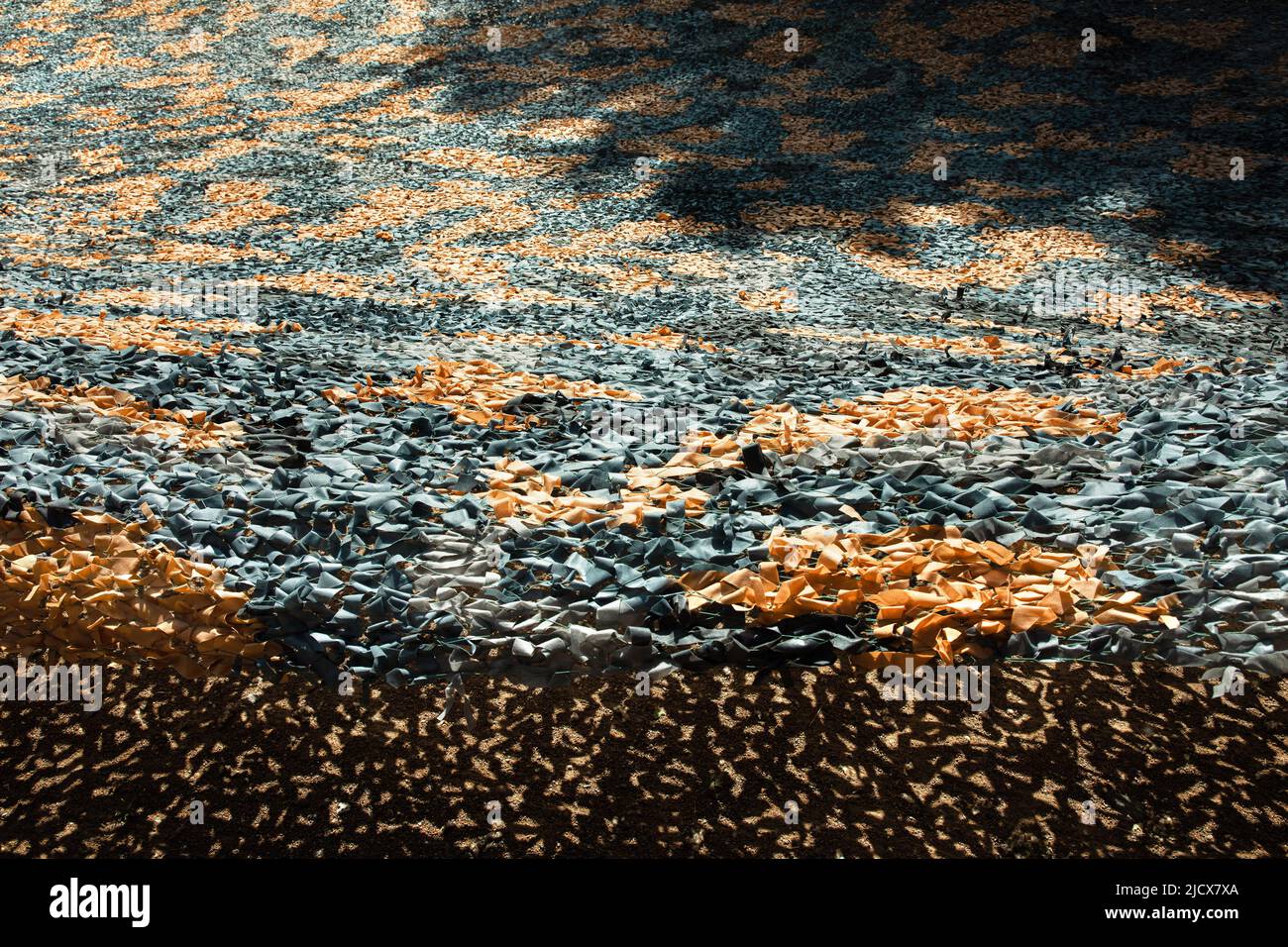 Kiew, Ukraine. 15.. Juni 2022. Freiwillige gewebt das größte Tarnnetz für die Flugzeuge der Streitkräfte der Ukraine. Kredit: SOPA Images Limited/Alamy Live Nachrichten Stockfoto