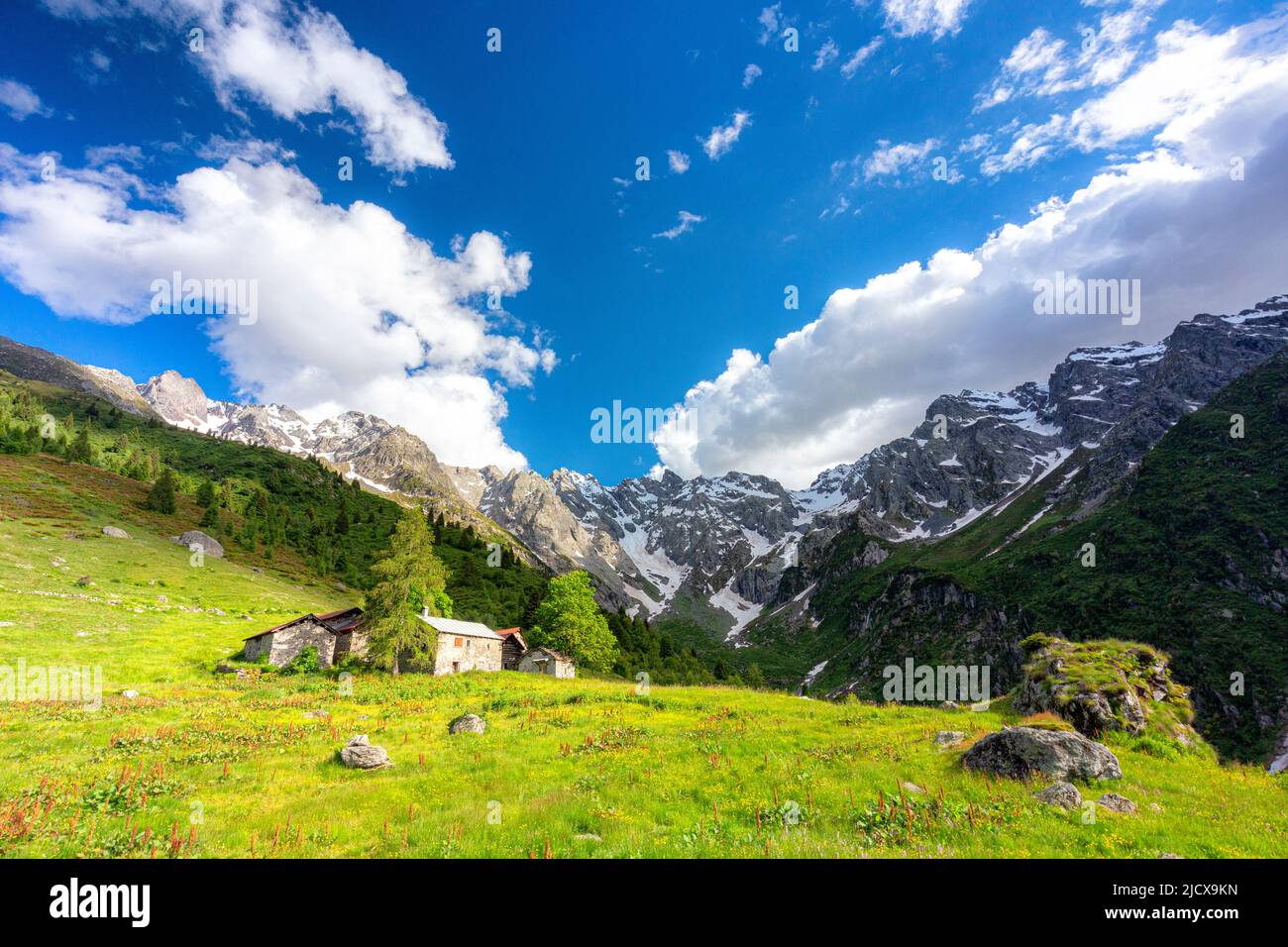 Einsame traditionelle Gruppe von Hütten in einem wilden Alpental, Val d'Arigna, Orobie, Valtellina, Lombardei, Italien, Europa Stockfoto