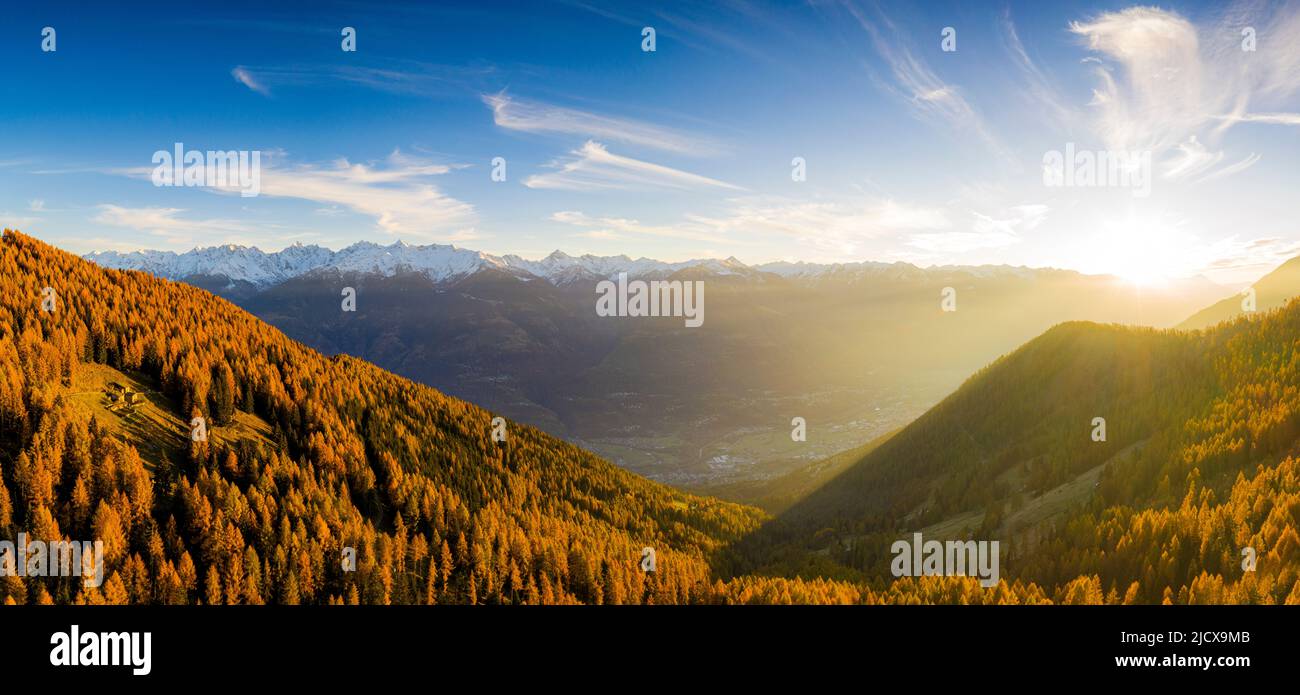 Panoramablick auf den Lärchenwald im Herbst bei Sonnenuntergang, Alpe Mara, Valtellina, Lombardei, Italien, Europa Stockfoto