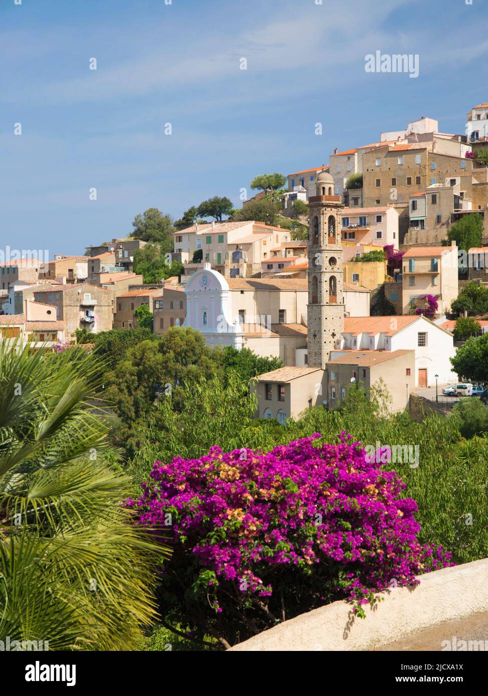 Dorfhäuser auf einem Hügel, die Kirche von Ste-Marie prominent, Lumio, Calvi Balagne, Haute-Corse, Korsika, Frankreich, Mittelmeer, Europa Stockfoto