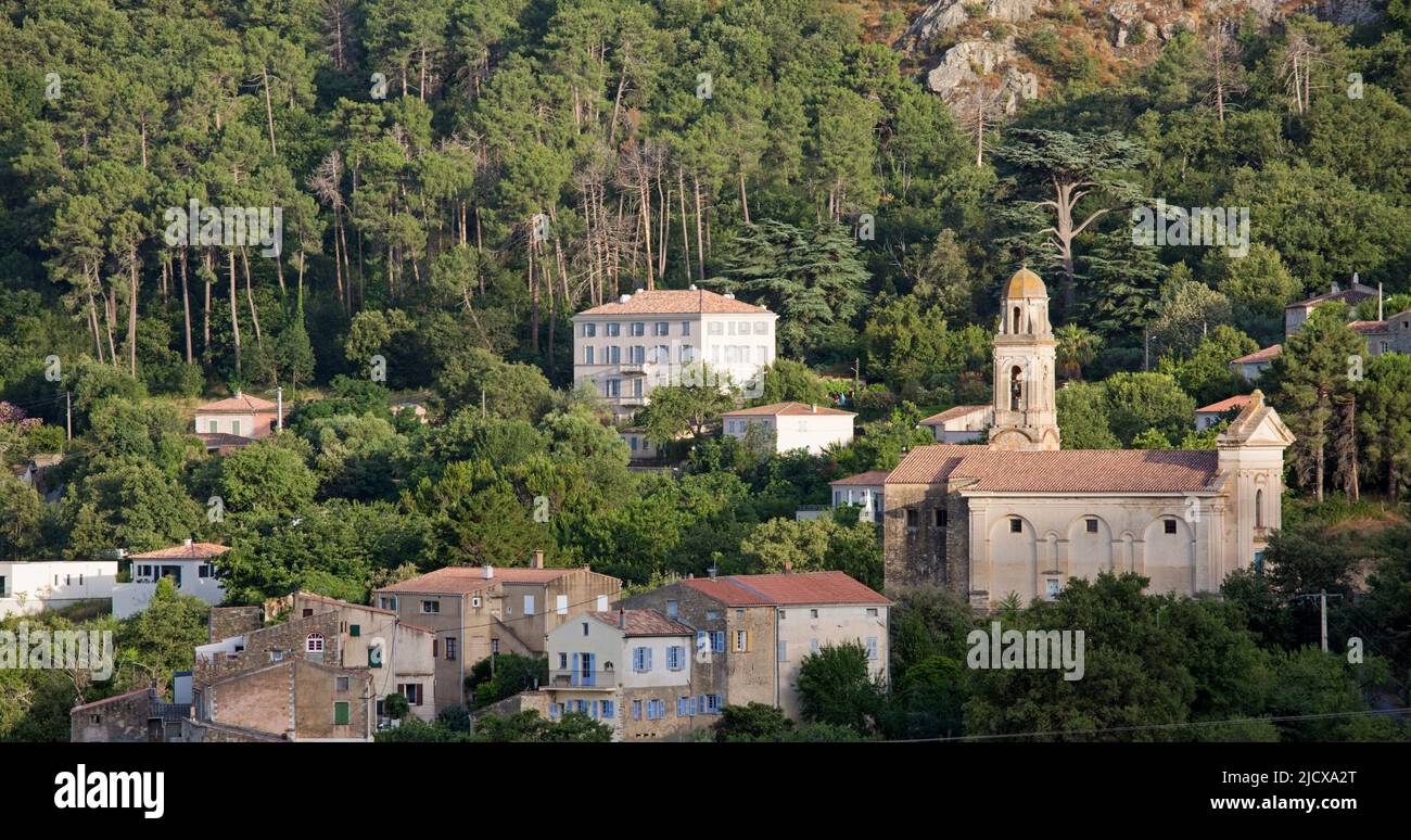 Panoramablick auf das Dorf in seiner Waldlandschaft, Abend, Feliceto, L'Ile-Rousse Balagne, Haute-Corse, Korsika, Frankreich, Mittelmeer, Europa Stockfoto