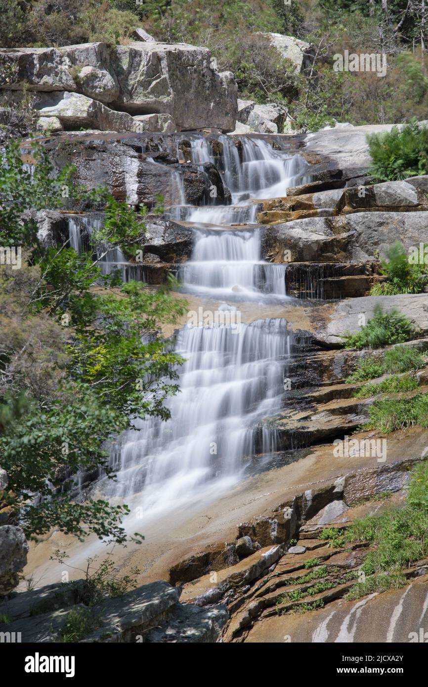 Wasserfall am Aitone-Fluss, der Teil einer Reihe von Wasserfällen an den Cascades d'Aitone, Evisa, Corse-du-Sud, Korsika, Frankreich, Mittelmeer, Europa Stockfoto