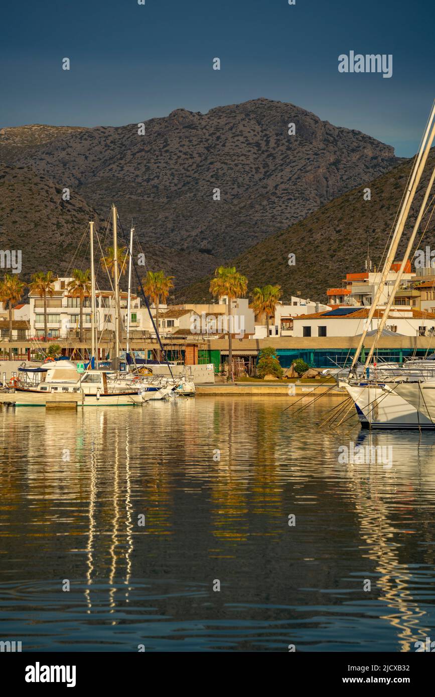 Blick auf den Sonnenaufgang auf Yachten in Port de Pollenca Marina, Port de Pollenca, Mallorca, Balearen, Spanien, Mittelmeer, Europa Stockfoto