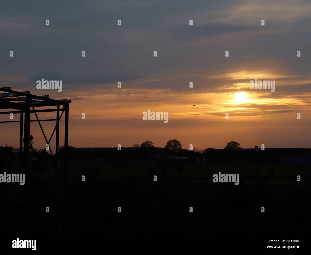 Ein satter, lebendiger Sonnenuntergang, der durch das silhouettierte Skelett eines ausgenutzten Flugzeughangs gesehen wird, wobei ein Vogel im Flug vor den glühenden Wolken hinterleuchtet ist. Stockfoto