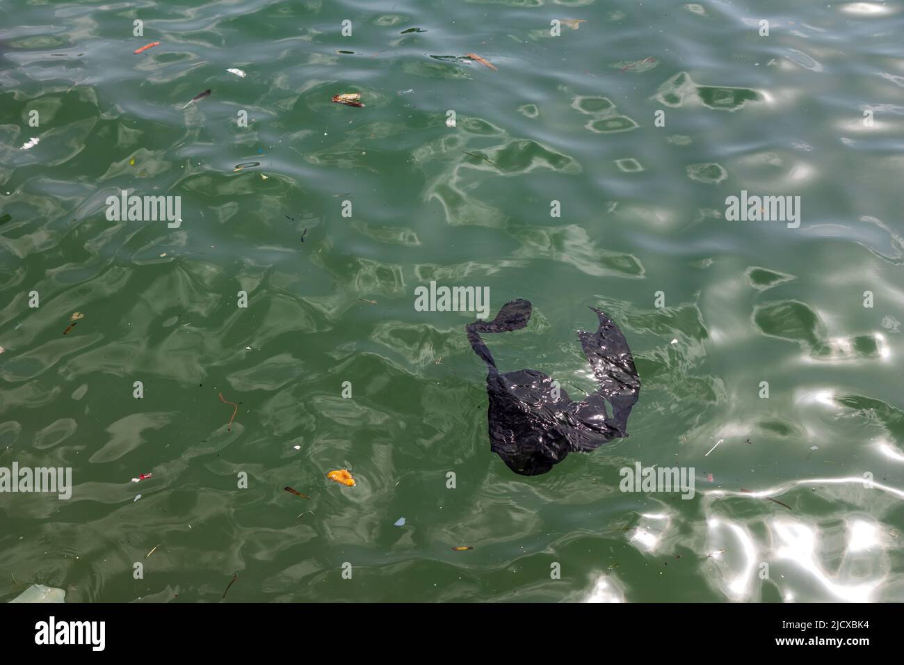 Kunststoff schwimmt im Wasser Stockfoto