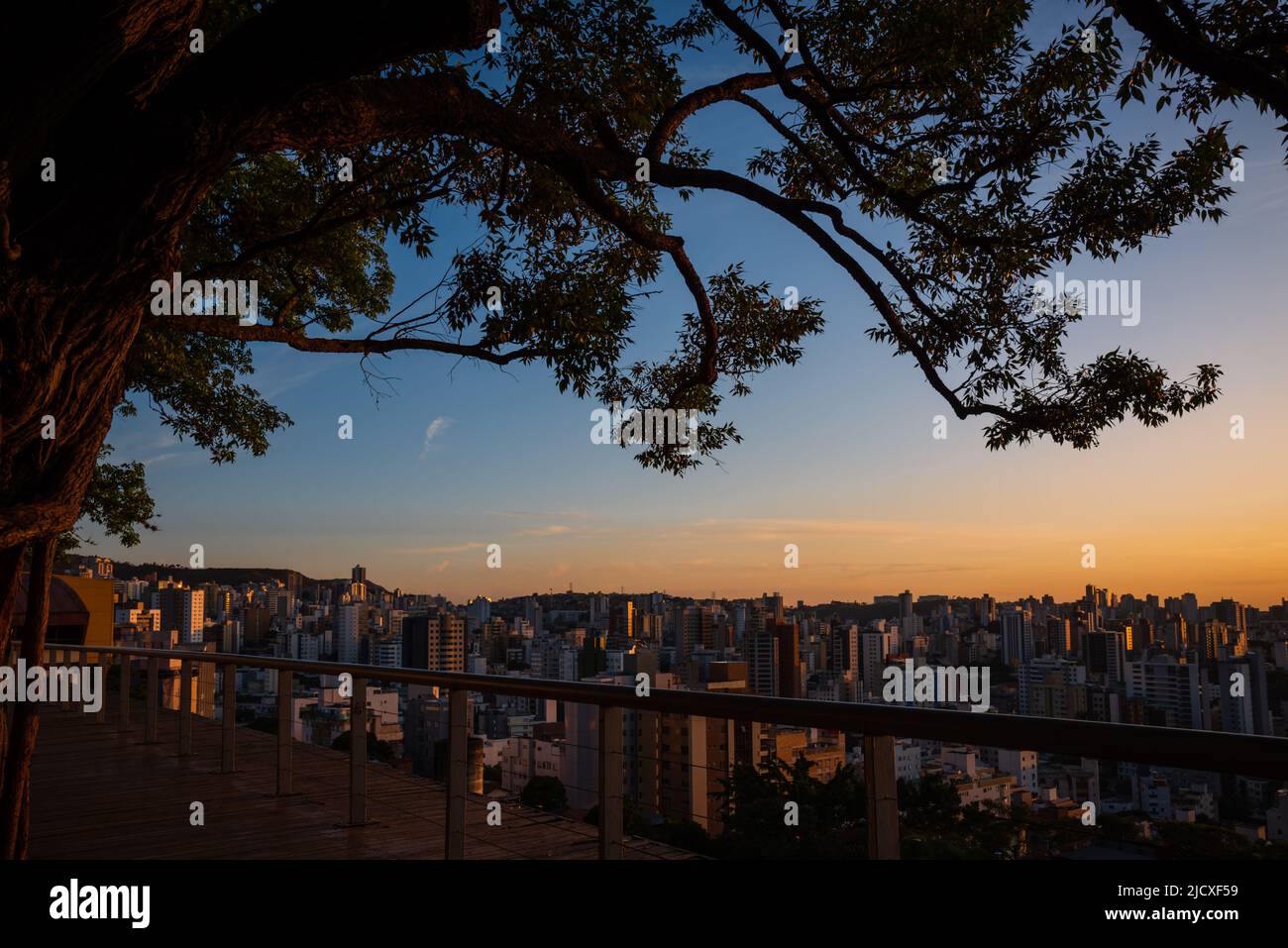 Blick auf den Baum über Deck und den Sonnenuntergang im Parque Amilcar Vianna Martins in Belo Horizonte, Brasilien. Stockfoto