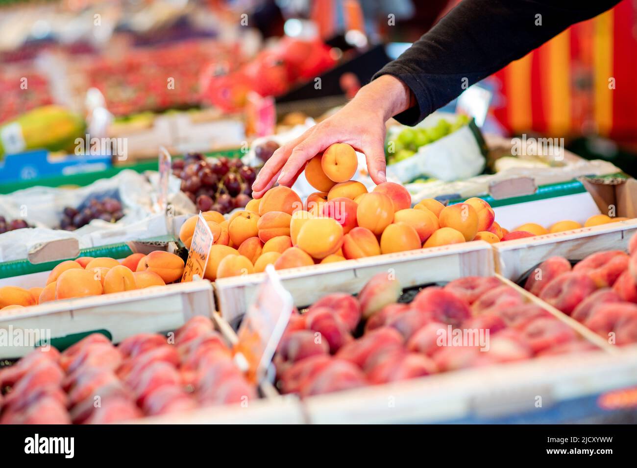 16. Juni 2022, Niedersachsen, Oldenburg: Am Obst- und Gemüsestand auf dem Wochenmarkt greift ein Verkäufer in eine Kiste mit Aprikosen. Das Leben in Deutschland ist in den letzten Monaten spürbar teurer geworden. Die Inflationsrate ist seit Jahrzehnten nicht mehr so hoch. Foto: Hauke-Christian Dittrich/dpa Stockfoto