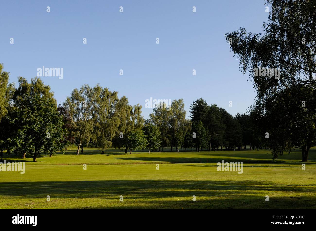 Am frühen Morgen Blick zurück auf den Fairway 5. über den Graben zur Tee Area, Bentley Golf Club, Brentwood, Essex, England Stockfoto