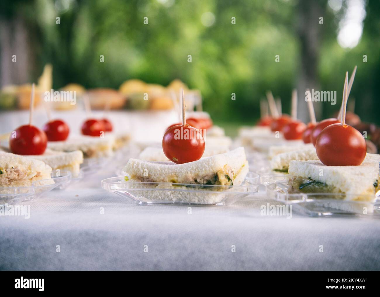 Vorspeisen Tomatenfisch und Mayonnaise Stockfoto