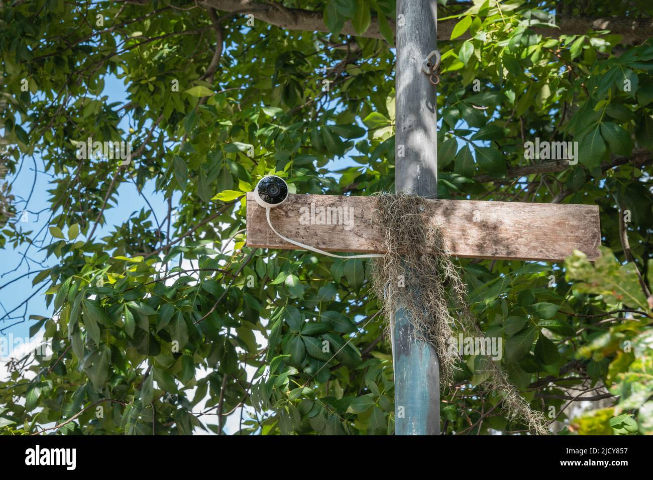Kleine, nicht aufsichklige Überwachungskamera auf Mast mit Bäumen im Hintergrund. Stockfoto