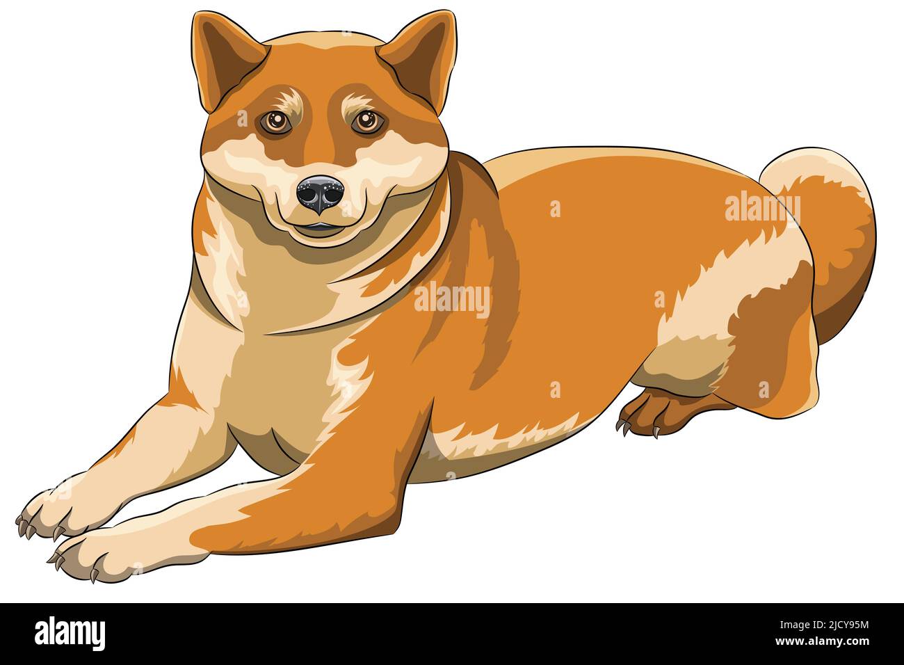 Lächelnder japanischer Akita Inu Hund. Vektorgrafik. Stock Vektor