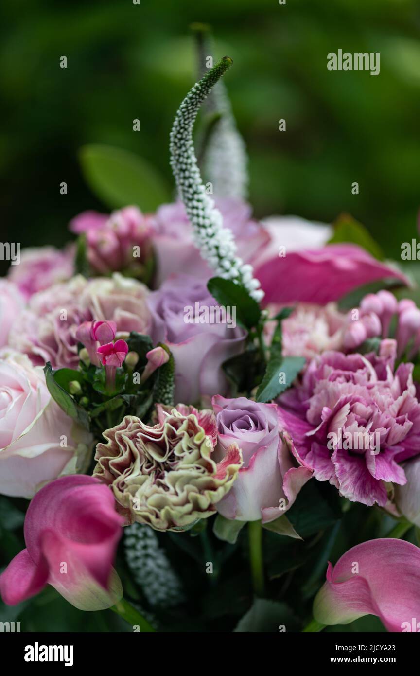 Bouquet von Rosen und cala Lilien Stockfoto