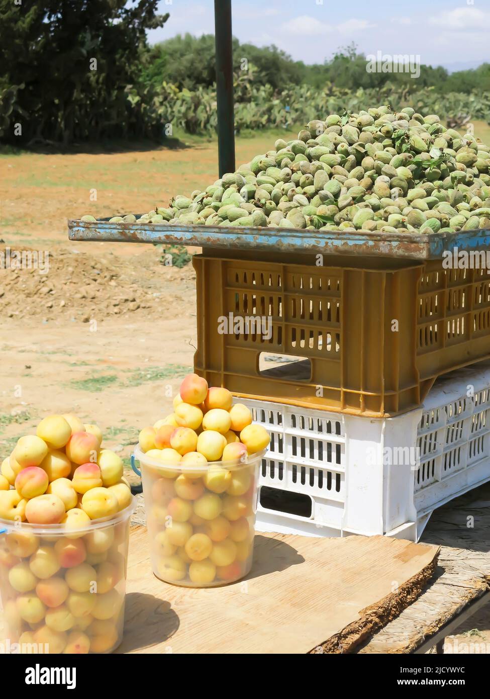 Frischer Obststand am Straßenrand Stockfoto