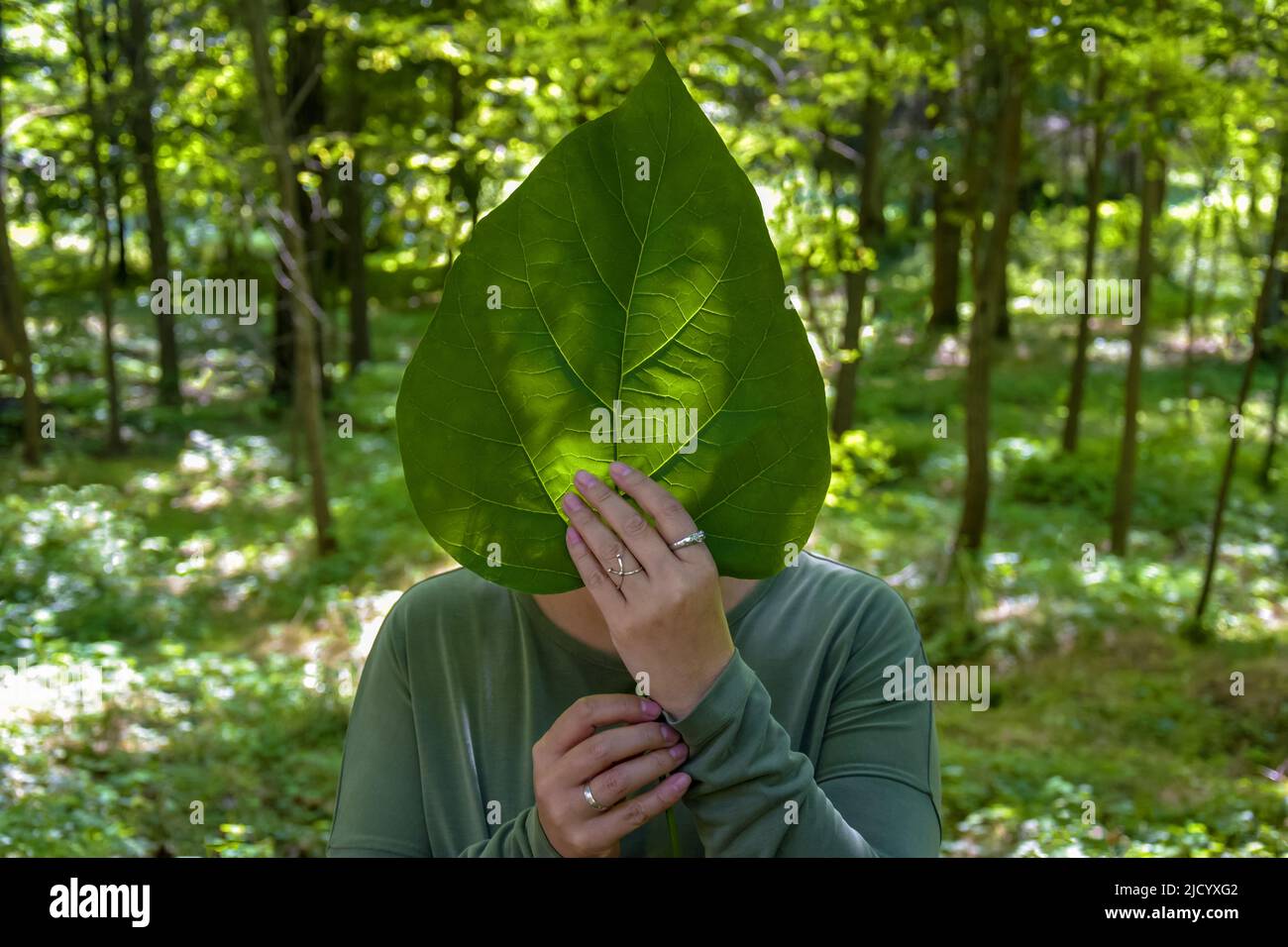 Unbekannte Frau mit verborgenem Gesicht hinter einem großen grünen Blatt. Konzept ohne Gesicht, gesichtslos, Schüchternheit. Selektiver Fokus. Stockfoto