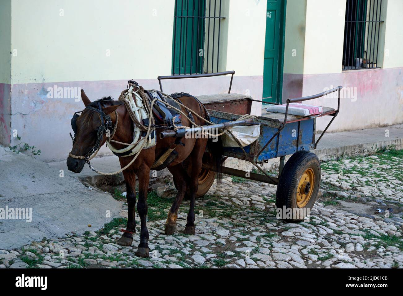 Pferdekutsche in den Straßen von trinidad auf kuba Stockfoto