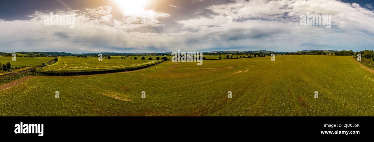 Exeter, Großbritannien. 16.. Juni 2022. Die Sonne scheint auf dem Getreideanbau in Devon, Großbritannien. Kredit: Thomas Faull/Alamy Live Nachrichten Stockfoto