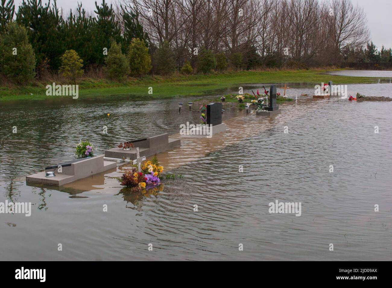 Ein Blick auf das Leben in Neuseeland. Überschwemmung. Während einer Flut ist nichts heilig. Stockfoto