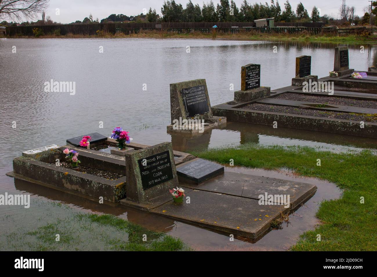 Ein Blick auf das Leben in Neuseeland. Überschwemmung. Während einer Flut ist nichts heilig. Stockfoto