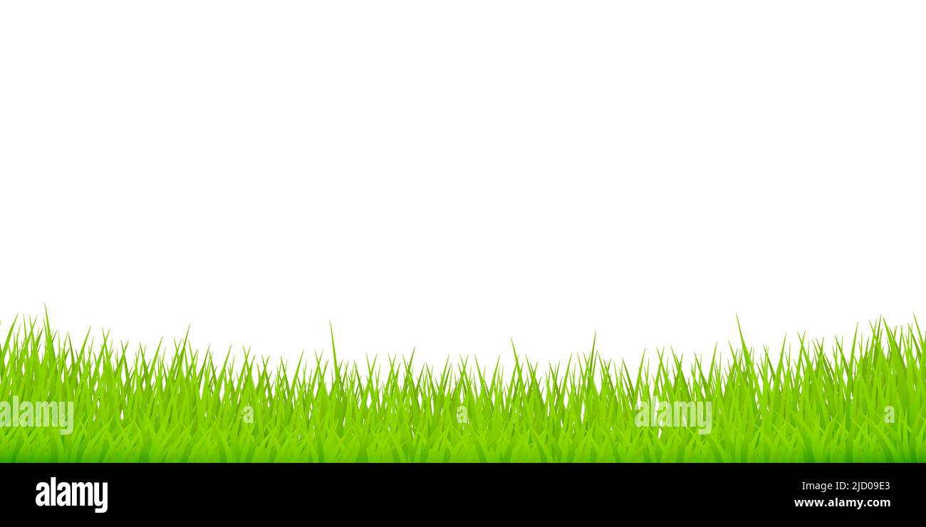 Aquarell grüne Illustration. 3D Vektorhintergrund. Isoliertes Vektorsymbol. 3D Gras für Banner-Design. Stock Vektor