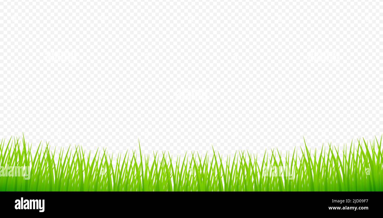 Aquarell grüne Illustration. 3D Vektorhintergrund. Isoliertes Vektorsymbol. 3D Gras für Banner-Design. Stock Vektor
